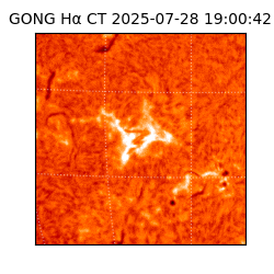 gong - 2025-07-28T19:00:42