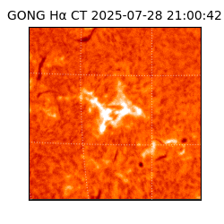 gong - 2025-07-28T21:00:42