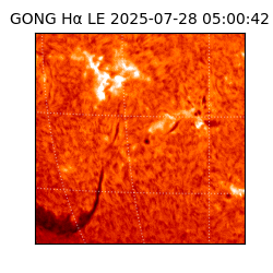 gong - 2025-07-28T05:00:42