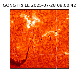 gong - 2025-07-28T08:00:42