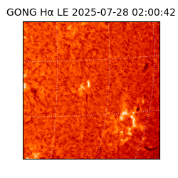gong - 2025-07-28T02:00:42