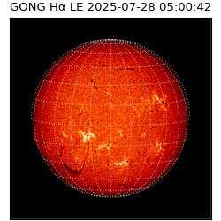 gong - 2025-07-28T05:00:42