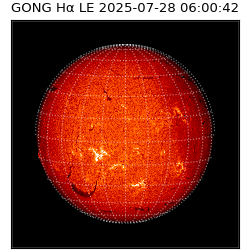 gong - 2025-07-28T06:00:42
