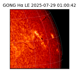 gong - 2025-07-29T01:00:42