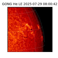 gong - 2025-07-29T08:00:42