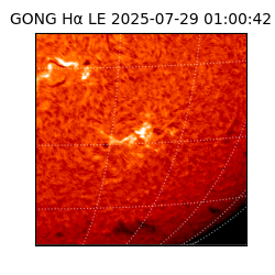 gong - 2025-07-29T01:00:42
