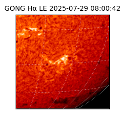 gong - 2025-07-29T08:00:42