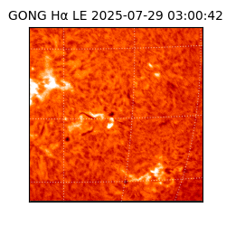 gong - 2025-07-29T03:00:42