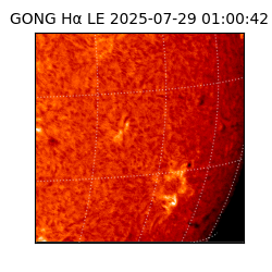 gong - 2025-07-29T01:00:42