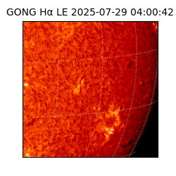 gong - 2025-07-29T04:00:42
