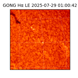 gong - 2025-07-29T01:00:42