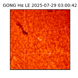 gong - 2025-07-29T03:00:42