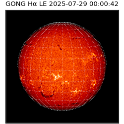 gong - 2025-07-29T00:00:42