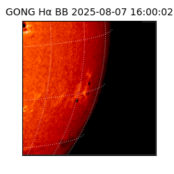 gong - 2025-08-07T16:00:02
