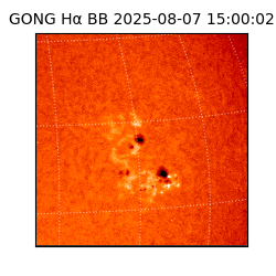 gong - 2025-08-07T15:00:02