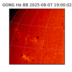 gong - 2025-08-07T19:00:02