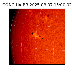 gong - 2025-08-07T15:00:02