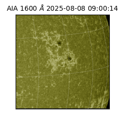 saia - 2025-08-08T09:00:14.126000