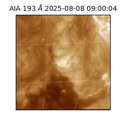 saia - 2025-08-08T09:00:04.846000