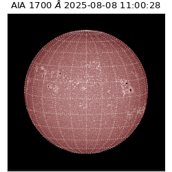 saia - 2025-08-08T11:00:28.717000