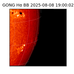 gong - 2025-08-08T19:00:02
