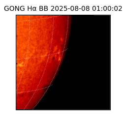 gong - 2025-08-08T01:00:02