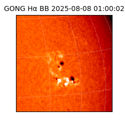 gong - 2025-08-08T01:00:02