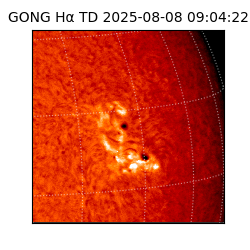gong - 2025-08-08T09:04:22
