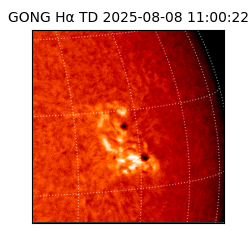 gong - 2025-08-08T11:00:22