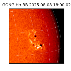 gong - 2025-08-08T18:00:02