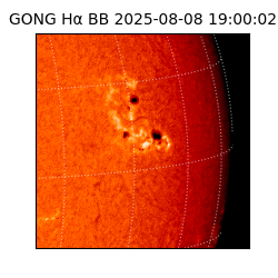 gong - 2025-08-08T19:00:02