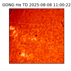 gong - 2025-08-08T11:00:22