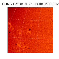 gong - 2025-08-08T19:00:02