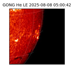 gong - 2025-08-08T05:00:42