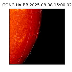 gong - 2025-08-08T15:00:02