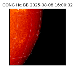 gong - 2025-08-08T16:00:02