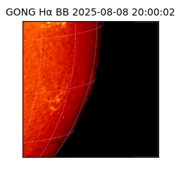 gong - 2025-08-08T20:00:02
