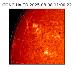 gong - 2025-08-08T11:00:22