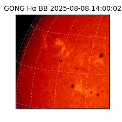 gong - 2025-08-08T14:00:02
