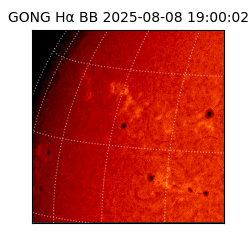 gong - 2025-08-08T19:00:02