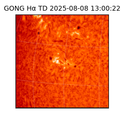 gong - 2025-08-08T13:00:22