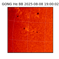 gong - 2025-08-08T19:00:02