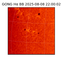 gong - 2025-08-08T22:00:02
