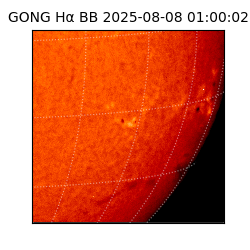 gong - 2025-08-08T01:00:02