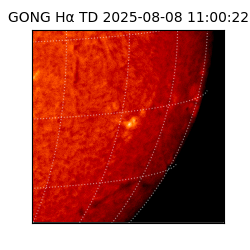 gong - 2025-08-08T11:00:22