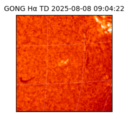 gong - 2025-08-08T09:04:22
