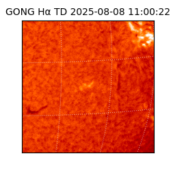gong - 2025-08-08T11:00:22