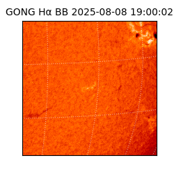 gong - 2025-08-08T19:00:02