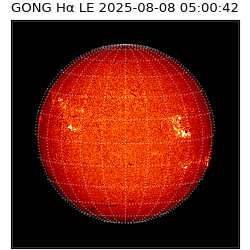 gong - 2025-08-08T05:00:42