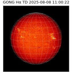 gong - 2025-08-08T11:00:22